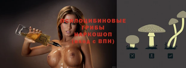 индика Кущёвская