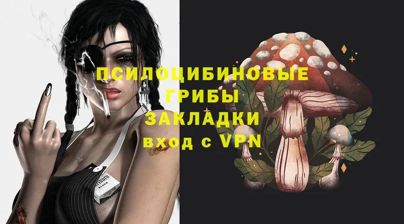 Галлюциногенные грибы MAGIC MUSHROOMS  как найти закладки  Шадринск 