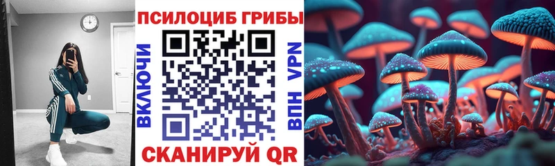 Галлюциногенные грибы Magic Shrooms Шадринск