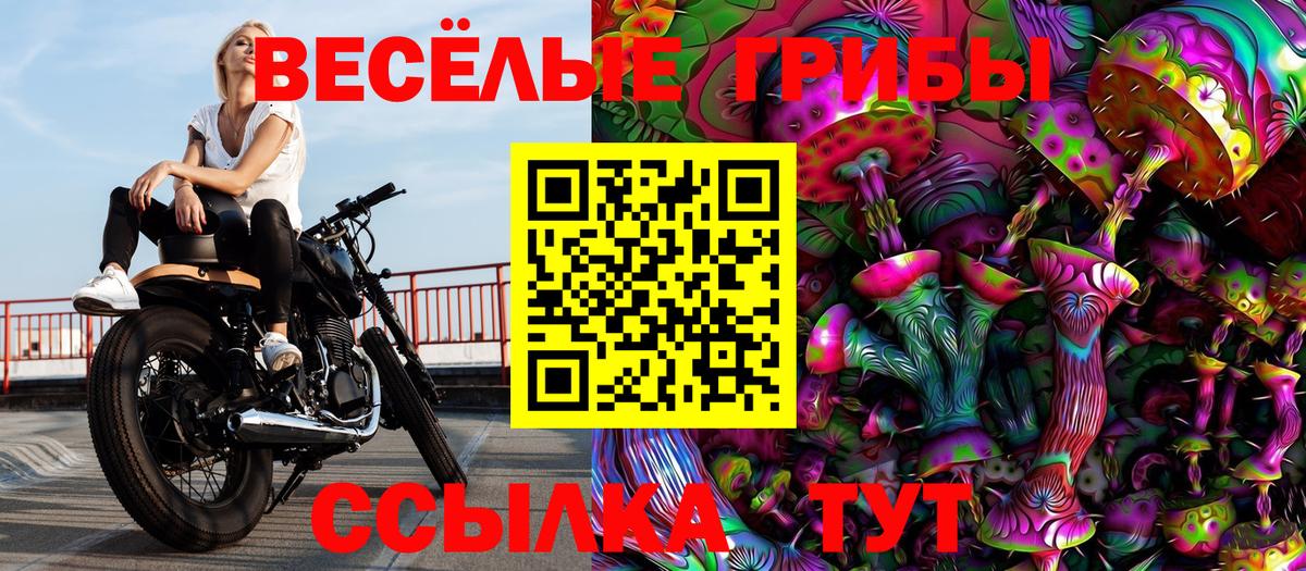 Галлюциногенные грибы Magic Shrooms Шадринск