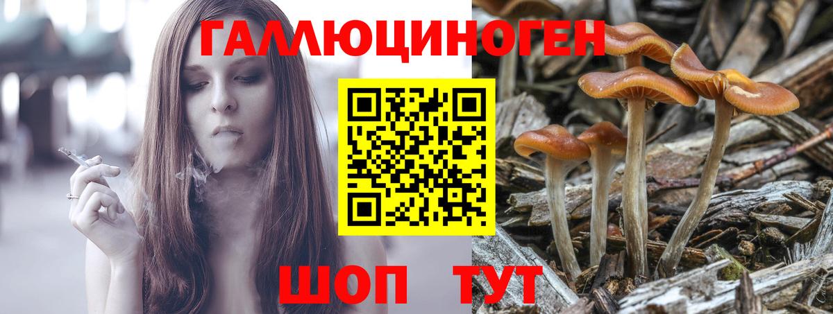 Галлюциногенные грибы мухоморы  Галлюциногенные грибы ЛСД  Вход с VPN  где можно купить   Шадринск 